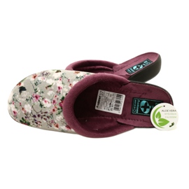 Chaussons Cherry Blossom Adanex 26764 Aloe Vera violet gris 4
