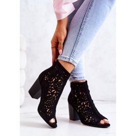 FB1 Bottes Noires Ajourées Sur Un Poteau Bretagne 2