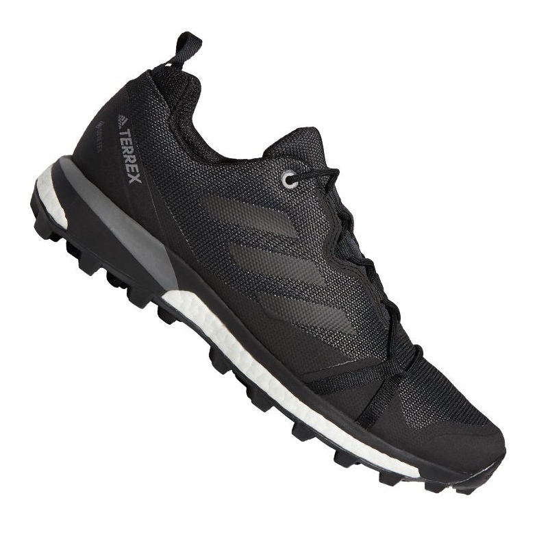 Chaussures adidas Terrex Skychaser Lt Gtx M F36099 noir 1