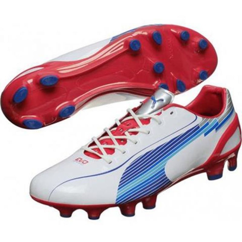 Chaussures de football Puma Evo Speed ​​1 Fg M 102527 01 blanche blanche 1