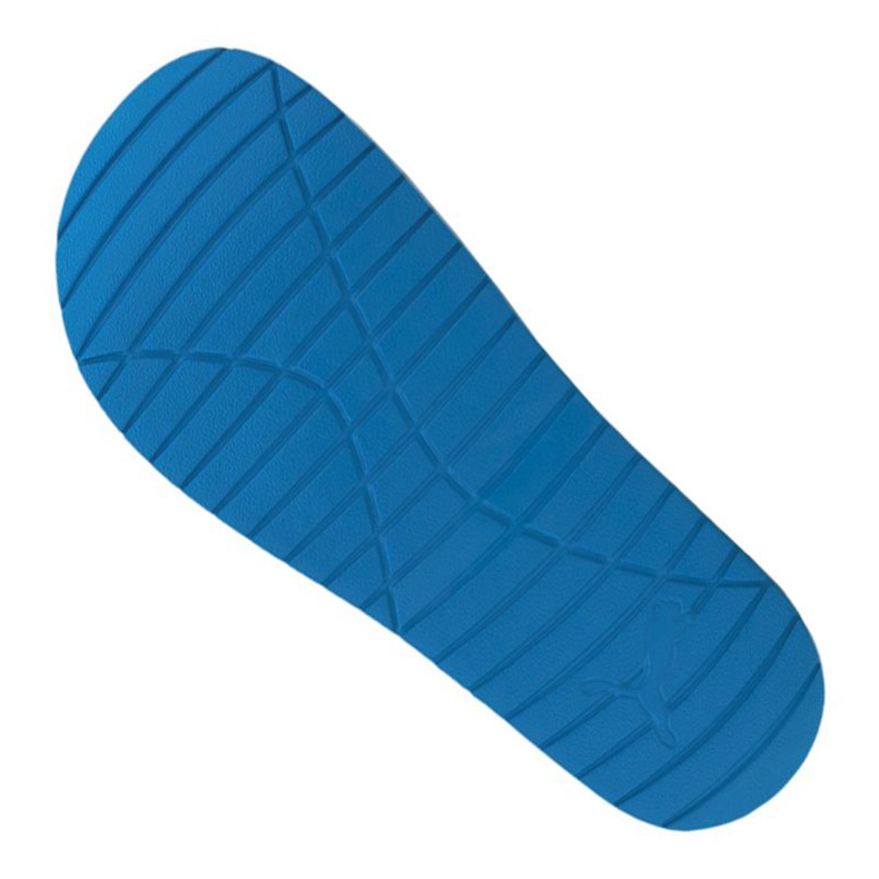 Puma Divecat v2 M 369400-15 bleu 2