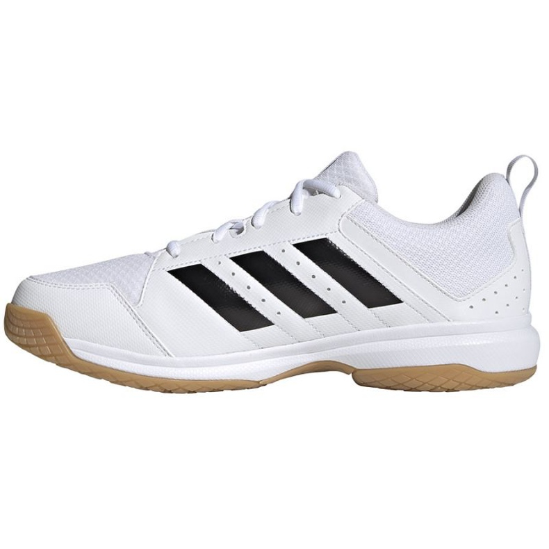 Chaussures de volley-ball Adidas Ligra 7 M GZ0069 blanche blanche 1