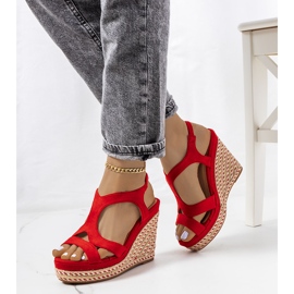 Espadrilles rouges sur un coin de cèdre 2