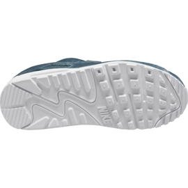 Chaussures Nike Air Max 90 Premium W DO2194-001 bleu 1