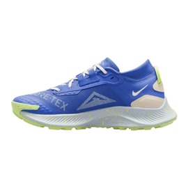 Chaussures Nike Pegasus Trail 3 GORE-TEX W DC8794-400 bleu 1