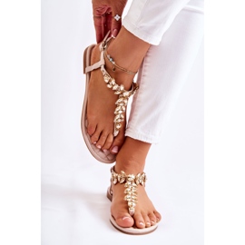 PG2 Sandales Tongs Femme Avec Ceinture Décorative Beige Lumière Du Jour 1 PG2 Sandales Tongs Femme Avec Ceinture Décorative Beige Lumière Du Jour 1