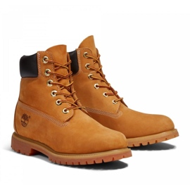 Timberland 6in Premium Boot W TB0103617131 brun jaune 2