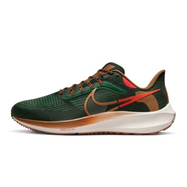 Chaussure Nike Air Zoom Pegasus 39 AIR Hola Lou M DO9500-300 vert 1 Chaussure Nike Air Zoom Pegasus 39 AIR Hola Lou M DO9500-300 vert 1