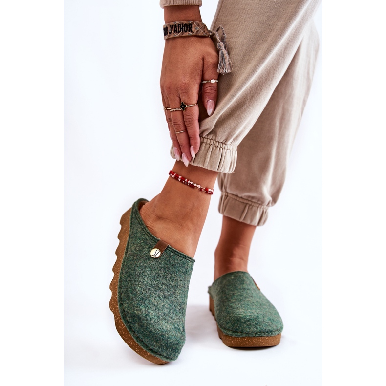 Chaussons Domestiques Prophylactiques Inblu DK-08-007 Vert 1