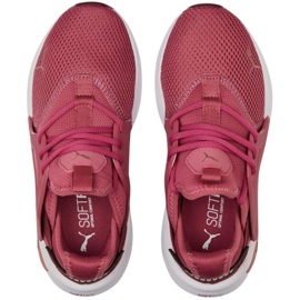 Chaussures Puma Softride Enzo Evo 377048 05 multicolore 1