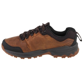 Chaussures Merrell Forestbound M J99643 brun 1 Chaussures Merrell Forestbound M J99643 brun 1
