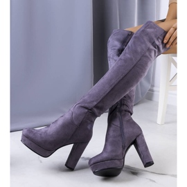 PA1 Boots en daim gris sur le post Titus 1