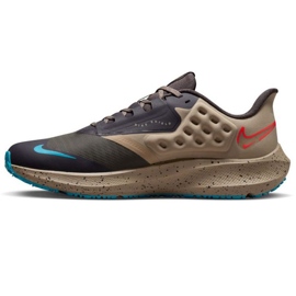 Chaussure de running Nike Air Zoom Pegasus M DO7625 200 multicolore gris 1