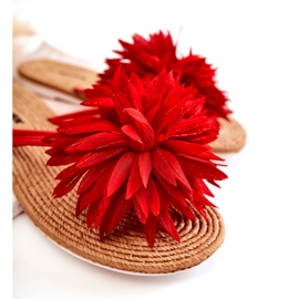 WJ1 Tongs pour femme avec une décoration en tissu Eviana rouge 1