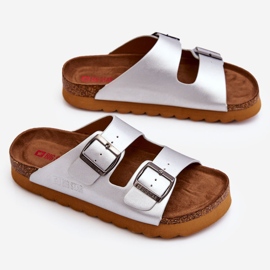 Chaussons Femme Classique Big Star LL274476 Argent 1