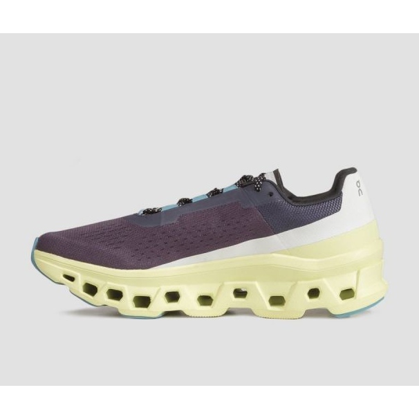 Chaussures de running On Running Cloudmonster M 6198244 gris 1