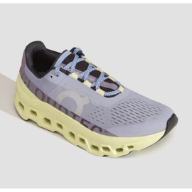 Chaussures de running On Running Cloudmonster W 6198242 gris 2