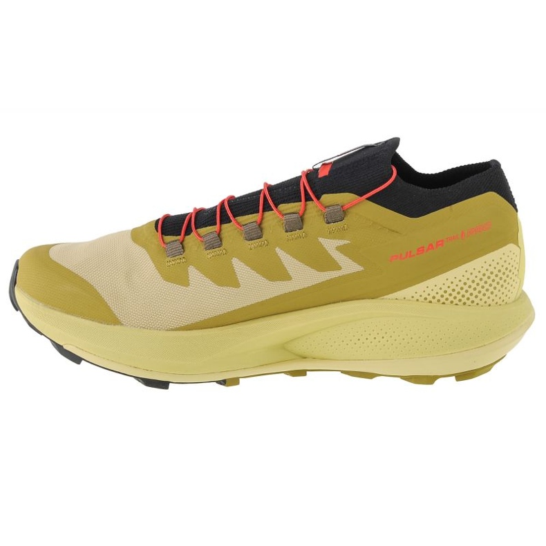 Chaussures Salomon Pulsar Trail-Pro M 415936 vert 1